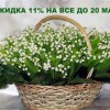 Скидка 11% - aromag.ru - Екатеринбург